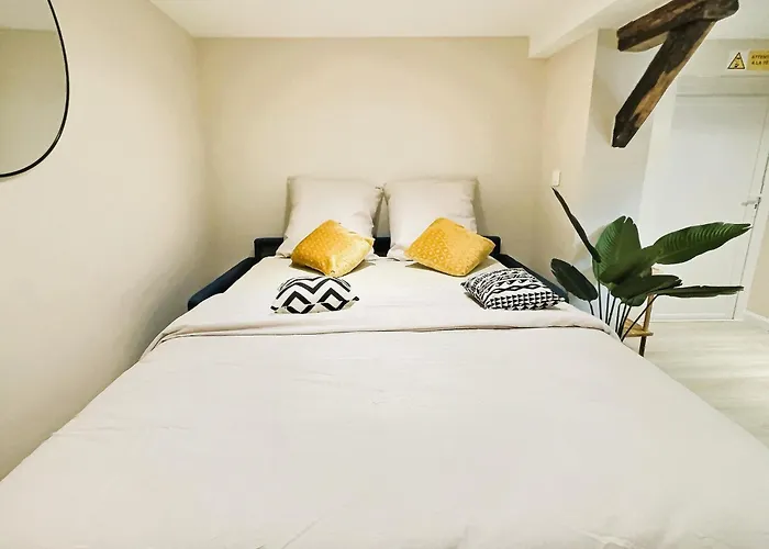 Cosy Refait A Neuf - Proche Aeroport Et Tram