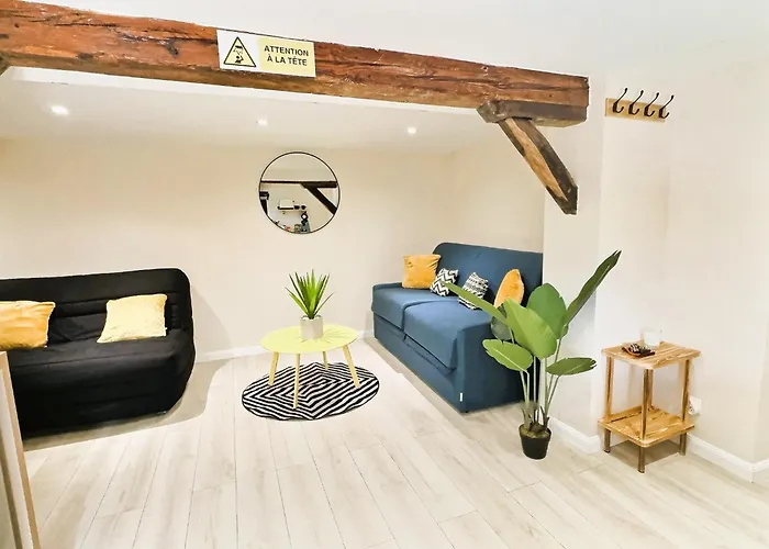 Apartmán Cosy Refait A Neuf - Proche Aeroport Et Tram *